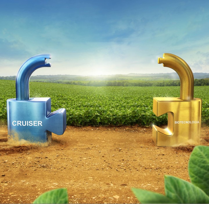 Syngenta - Cruiser Biotecnologia